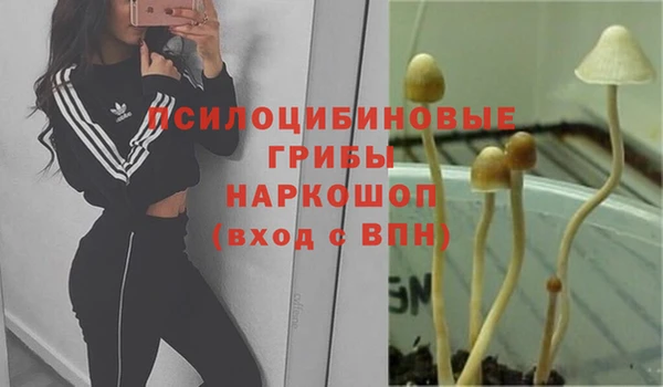 гидропоника Аркадак