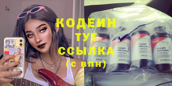 крисы Корсаков