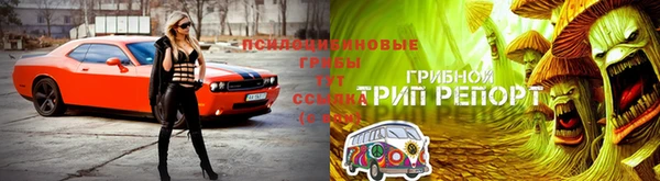 гидропоника Аркадак